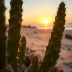 Gran Canaria: co zobaczyć i jakie atrakcje warto odwiedzić?