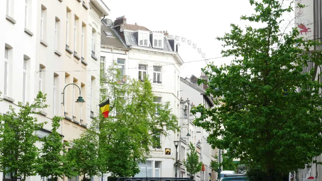 Busy do Belgii a komfort podróży